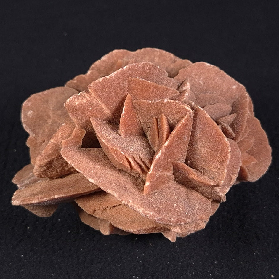 DESERT ROSE GYPSUM, Morocco XDR006