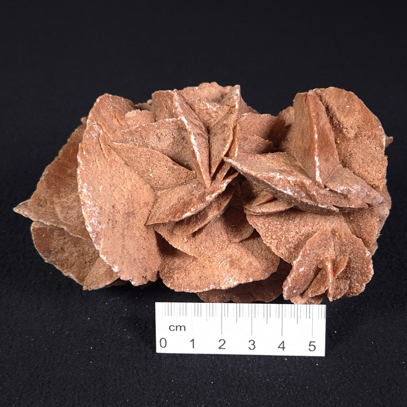 DESERT ROSE GYPSUM, Morocco XDR007