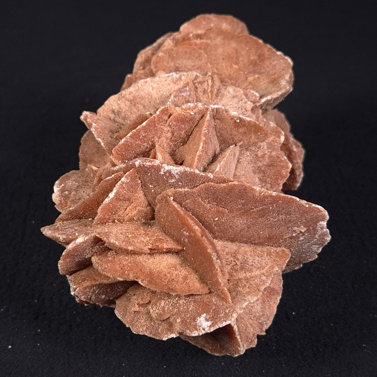 DESERT ROSE GYPSUM, Morocco XDR007