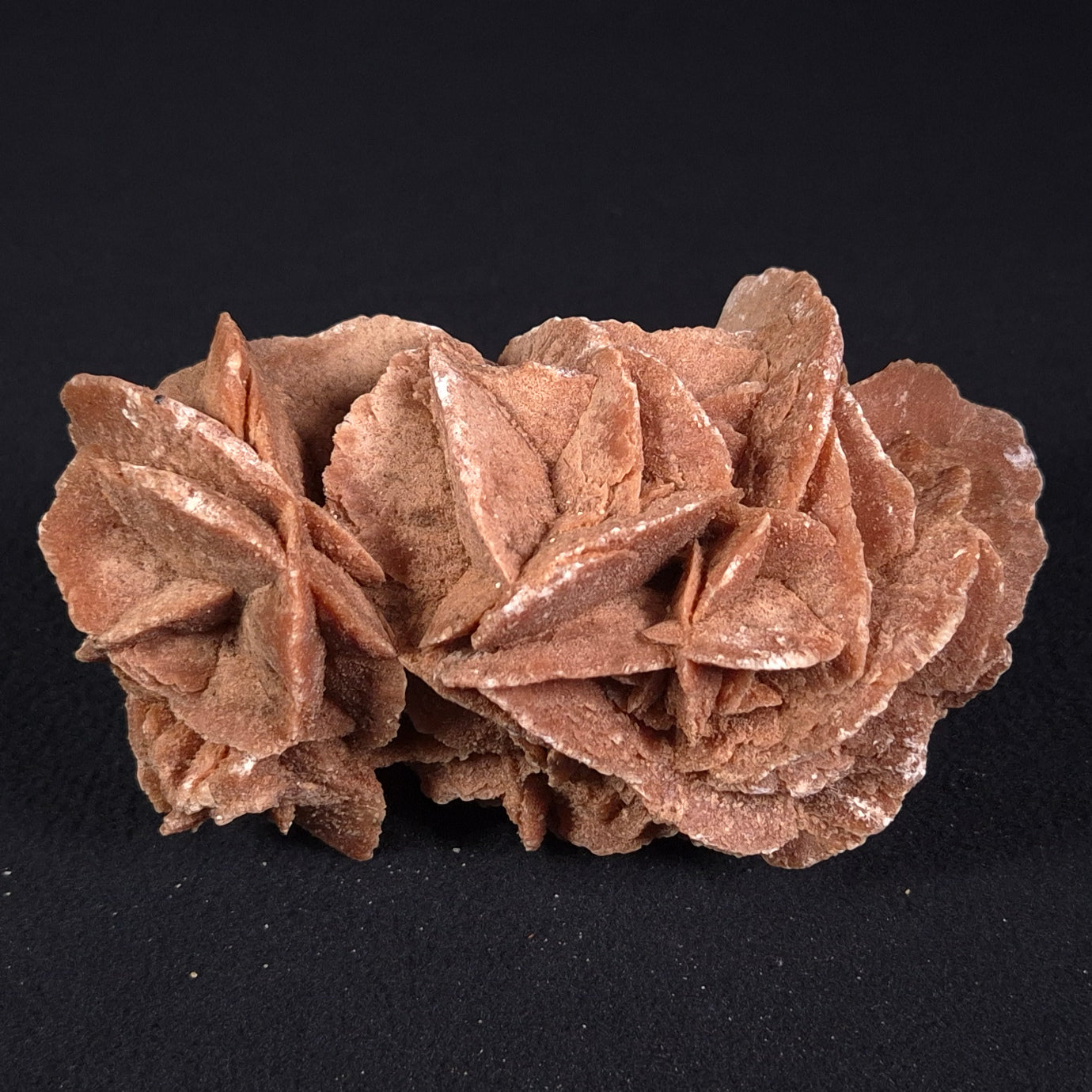 DESERT ROSE GYPSUM, Morocco XDR007