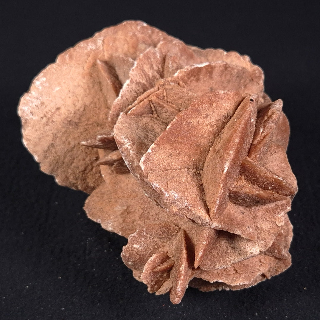 DESERT ROSE GYPSUM, Morocco XDR007