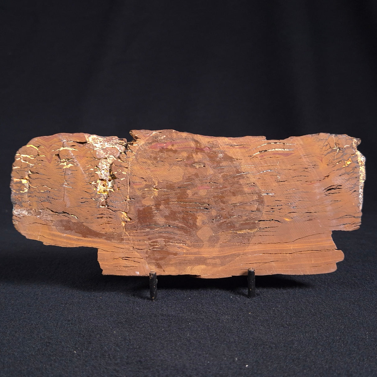STROMATOLITE, Parda Formation, Early Cretaceous (Aptian), Australia ZPF007