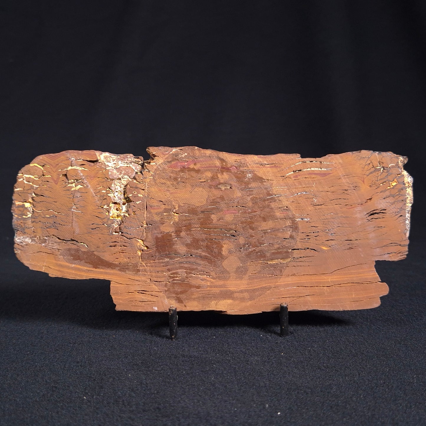 Stromatolite from the Parda Formation, Australia ZPF007