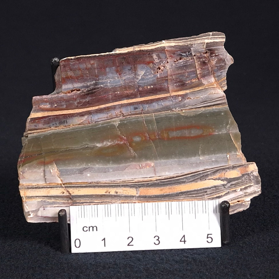 STROMATOLITE, Jerrinah Formation, Proterozoic, Australia ZJF019
