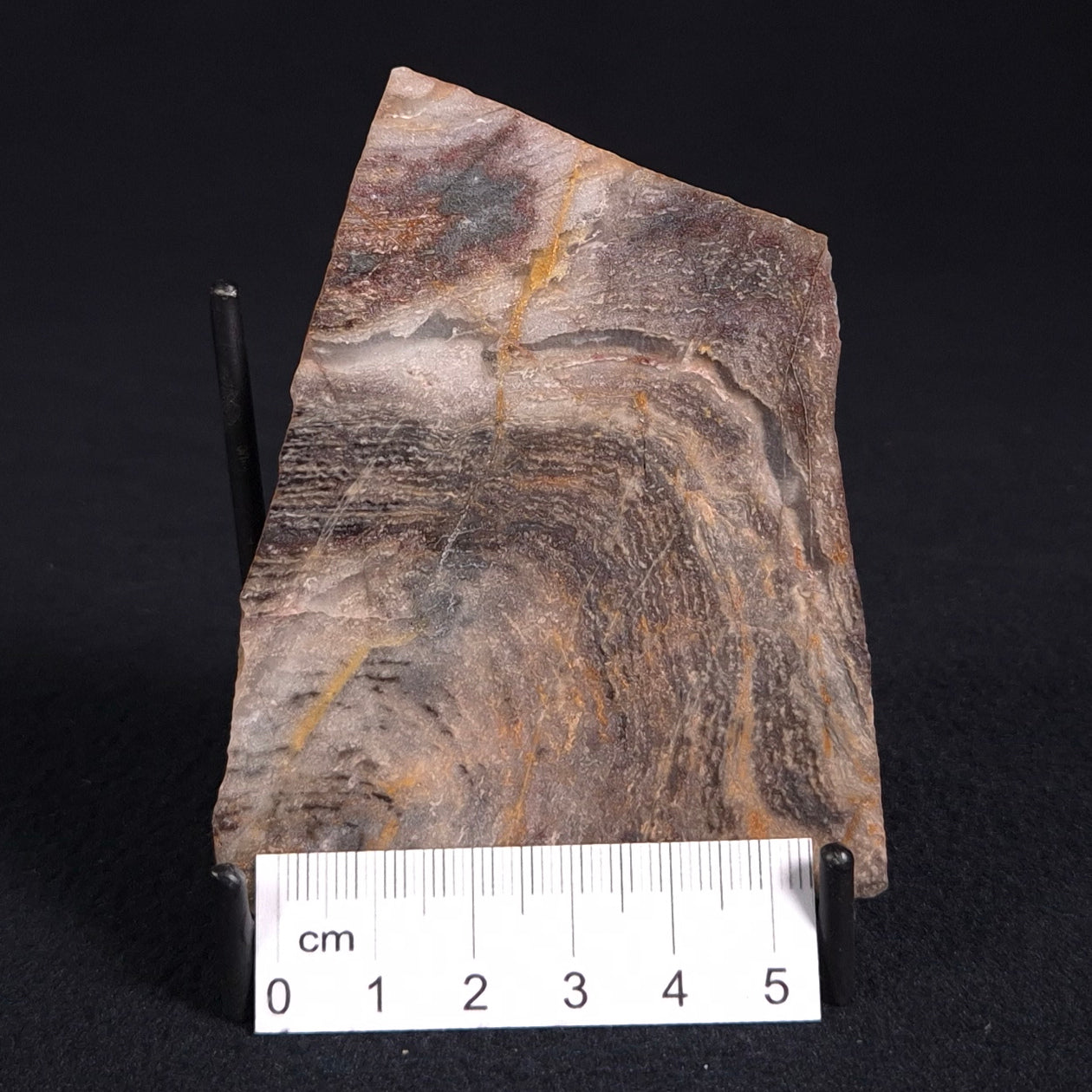 STROMATOLITE, Archean, Australia ZSL006