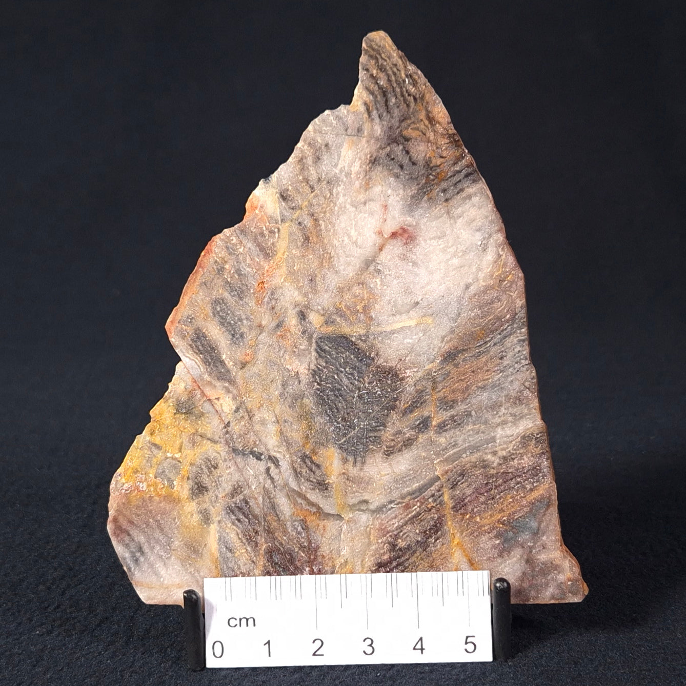 STROMATOLITE, Archean, Australia ZSL008