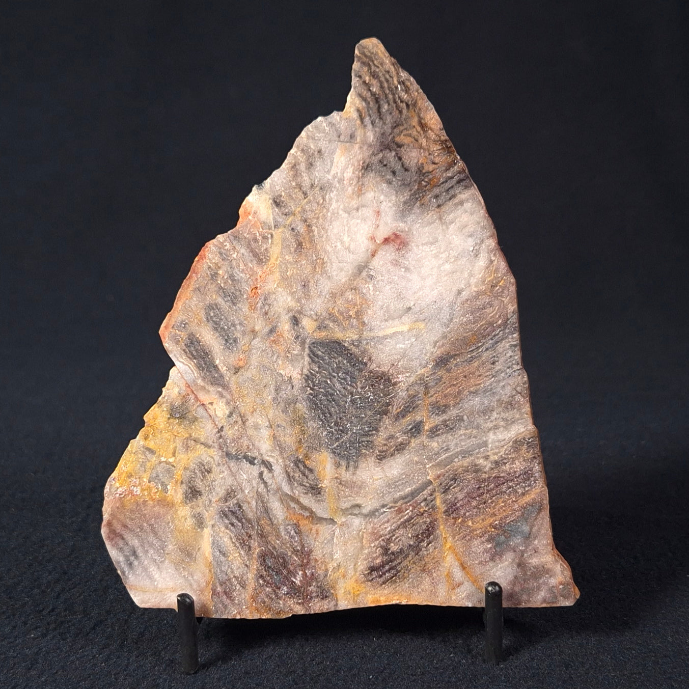 STROMATOLITE, Archean, Australia ZSL008