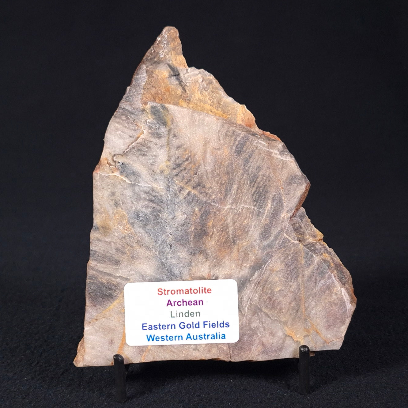 STROMATOLITE, Archean, Australia ZSL008