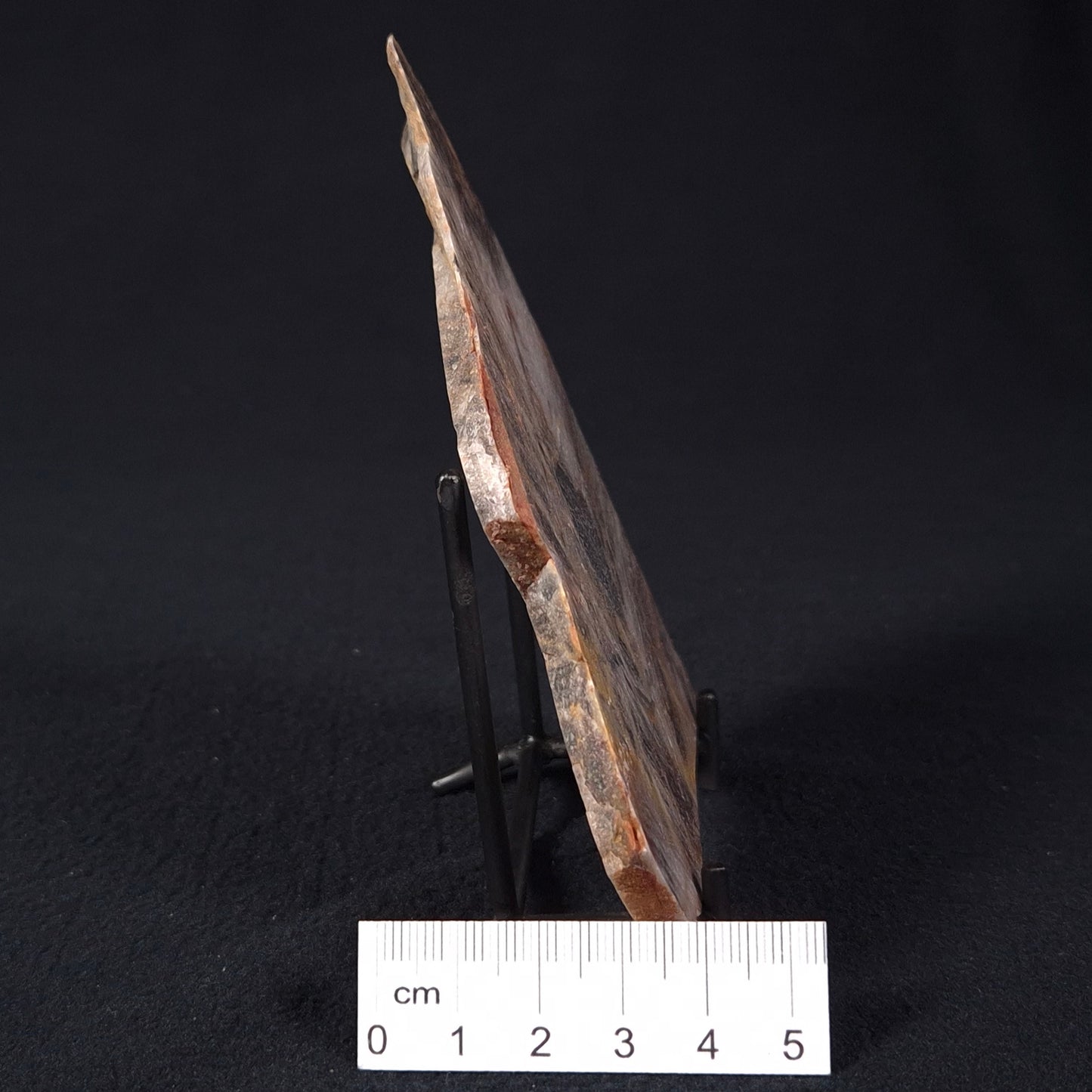 STROMATOLITE, Archean, Australia ZSL008