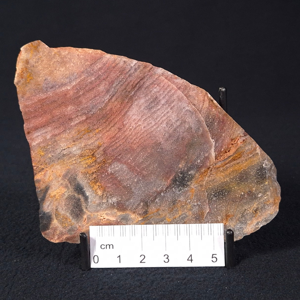 STROMATOLITE, Archean, Australia ZSL009
