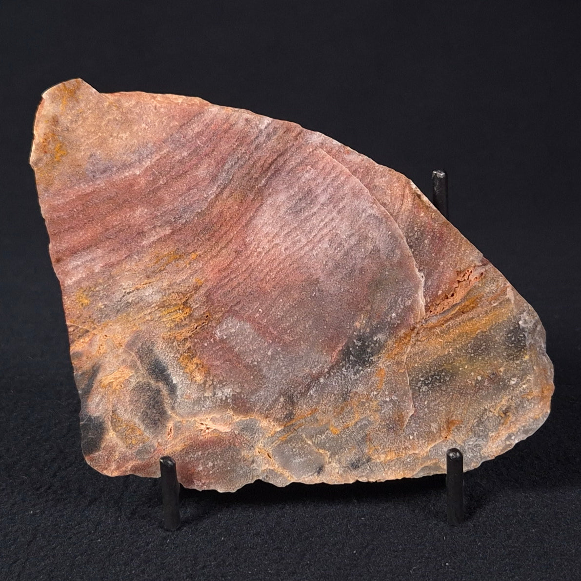 STROMATOLITE, Archean, Australia ZSL009