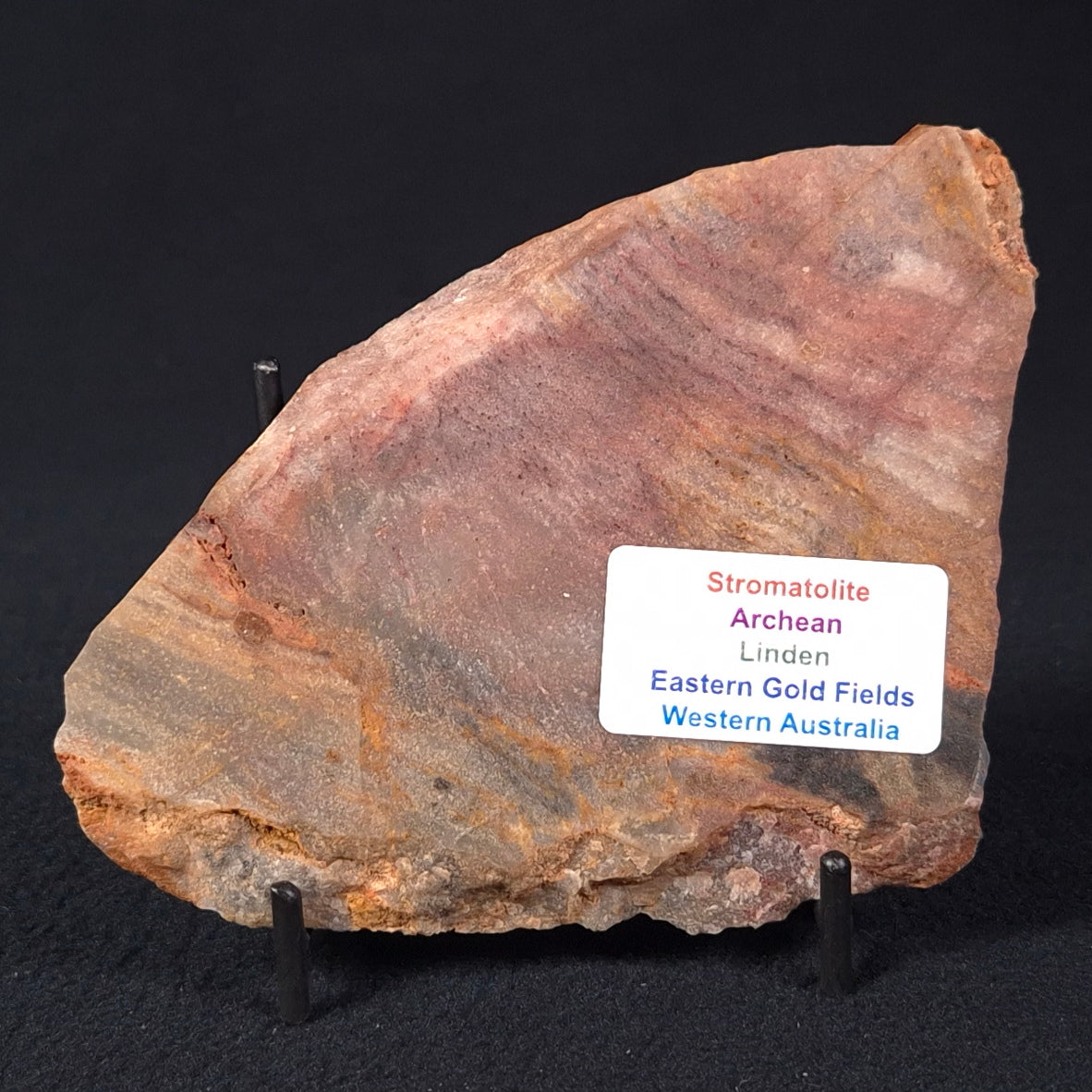 STROMATOLITE, Archean, Australia ZSL009