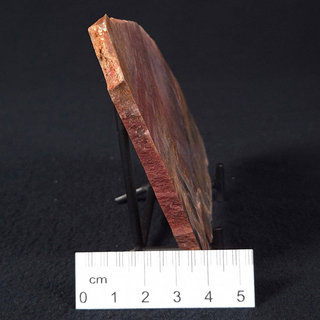 STROMATOLITE, Archean, Australia ZSL009