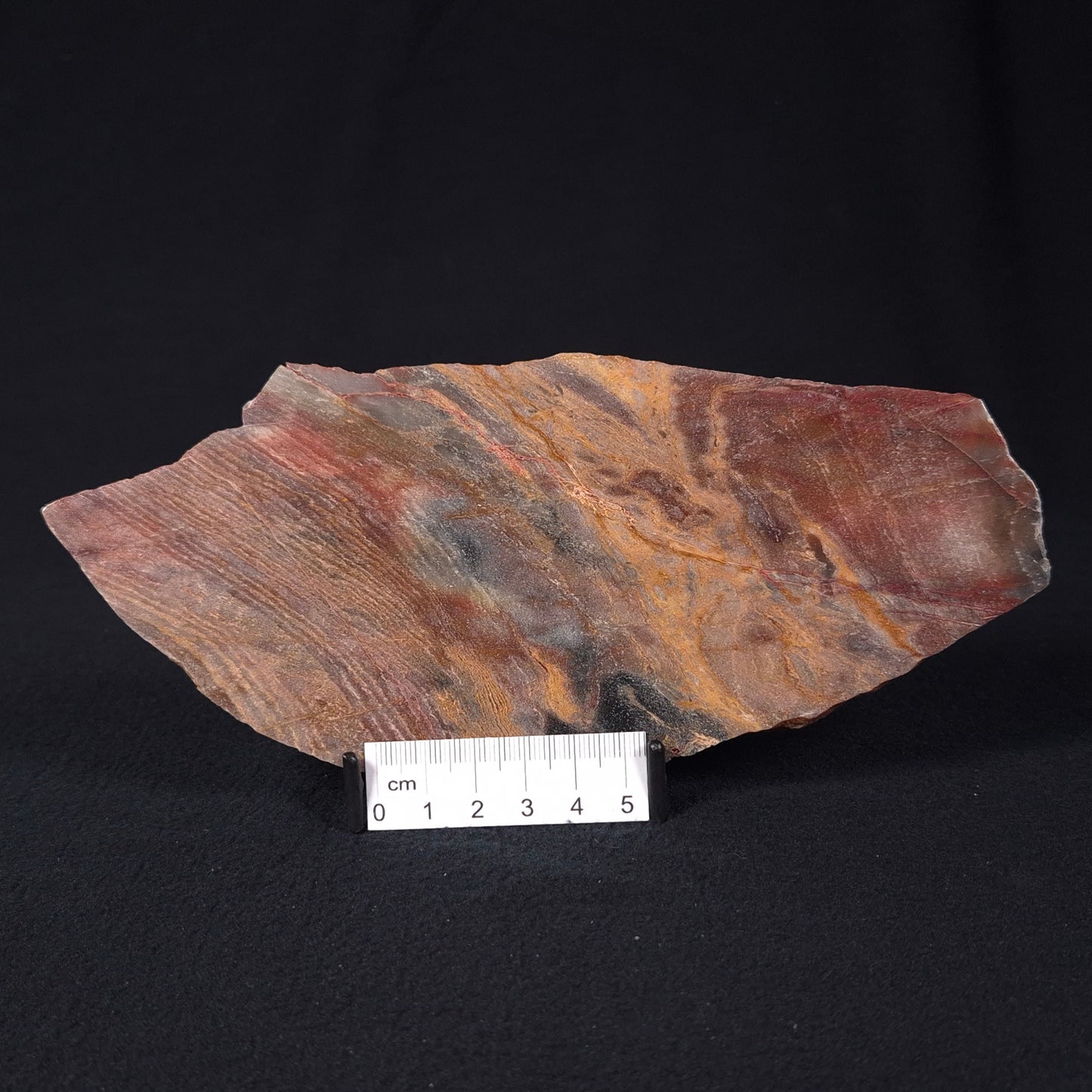 STROMATOLITE, Archean, Australia ZSL010