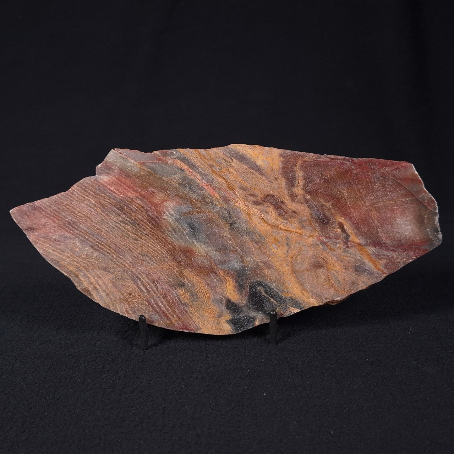 STROMATOLITE, Archean, Australia ZSL010