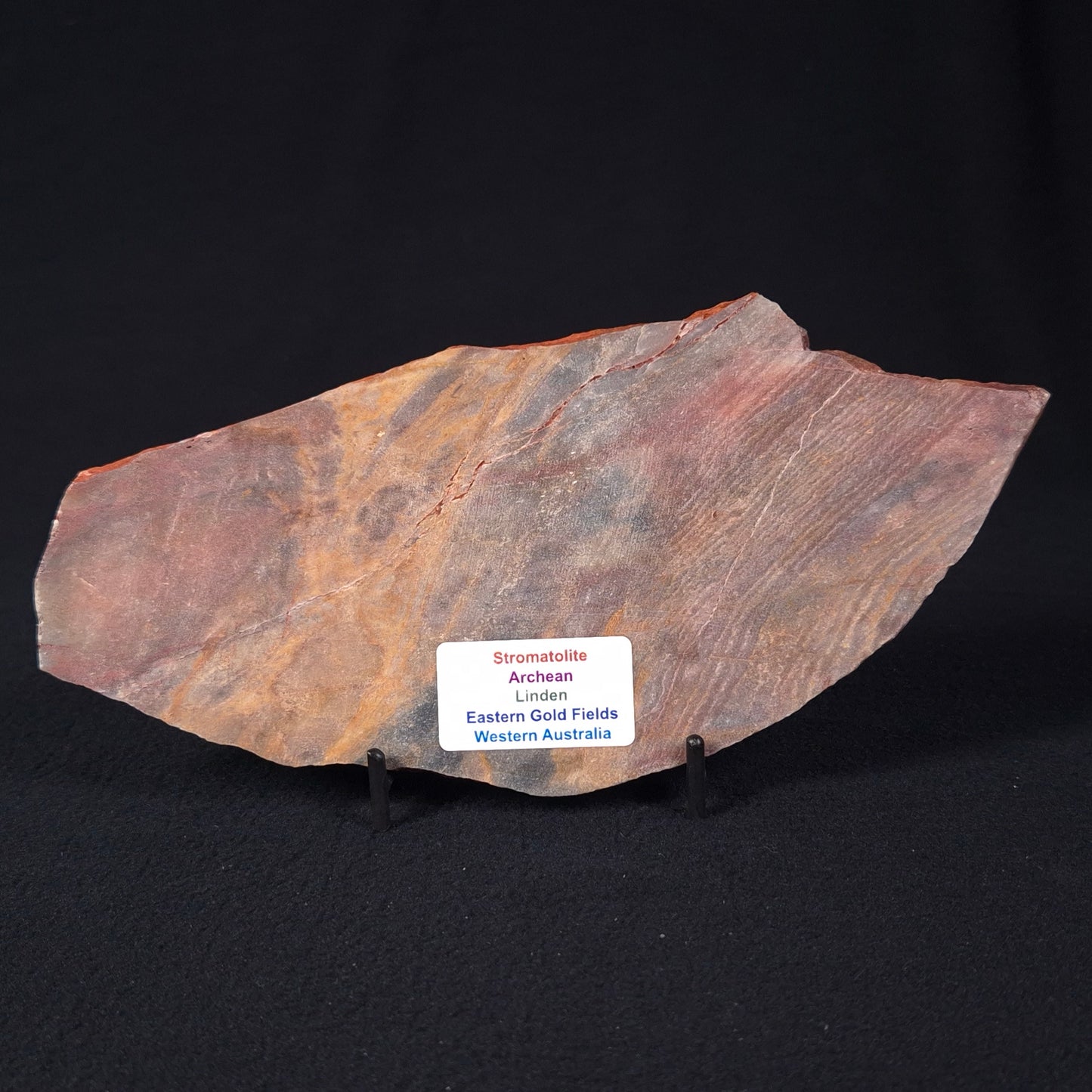 STROMATOLITE, Archean, Australia ZSL010