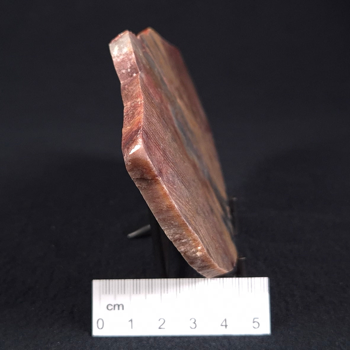 STROMATOLITE, Archean, Australia ZSL010