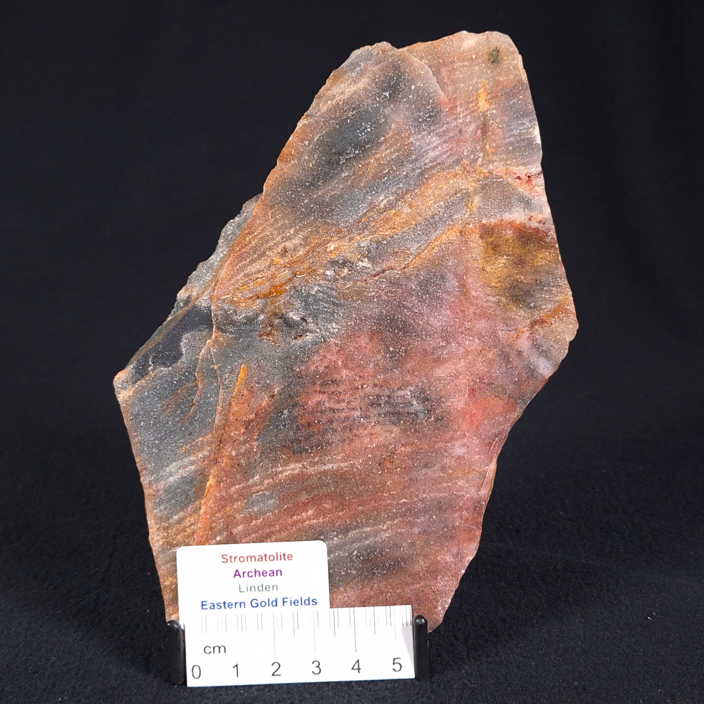 STROMATOLITE, Archean, Australia ZSL011