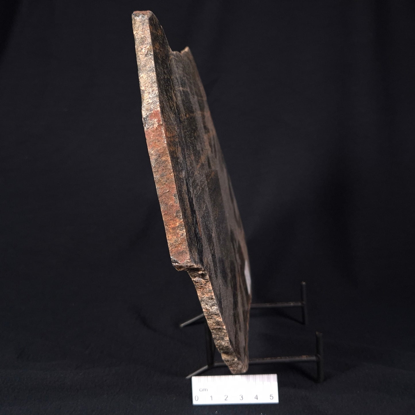 ACASTA GNEISS "OLDEST ROCK IN THE WORLD", Late Hadean, Canada ZAG016