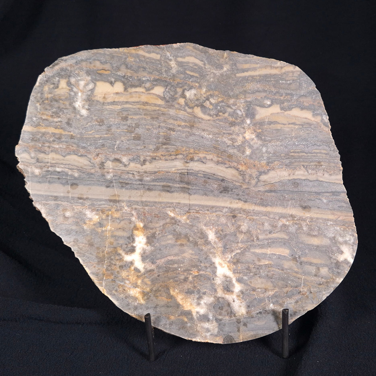 STROMATOLITE, Duck Creek, Lower Proterozoic, Australia ZDC003