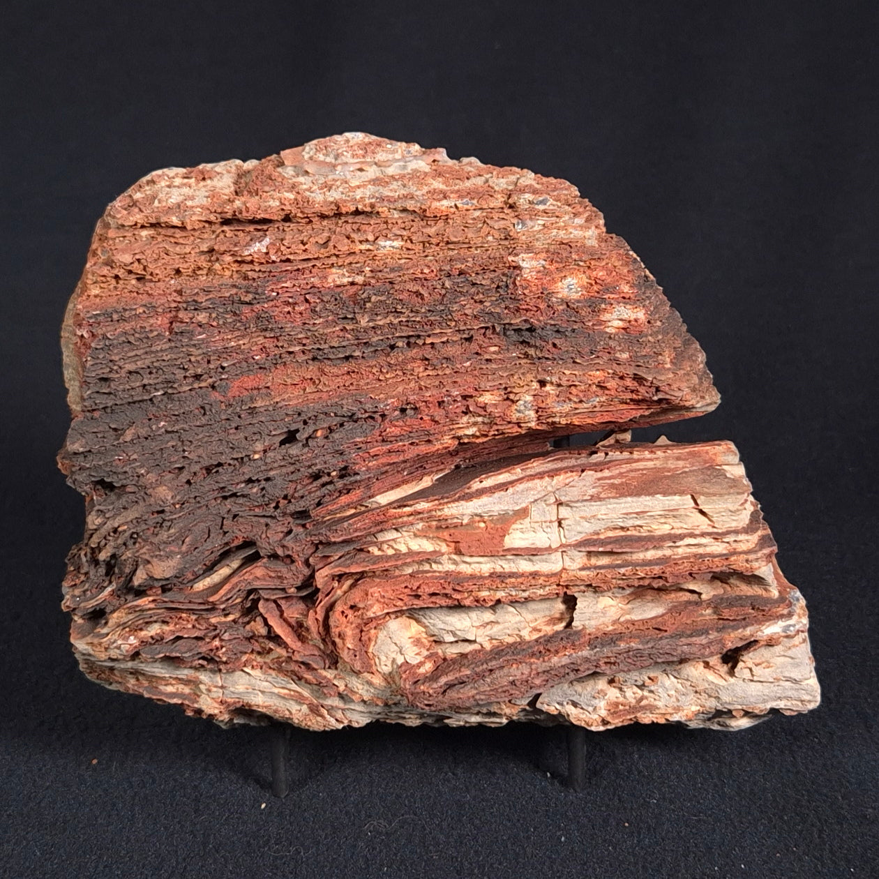 STROMATOLITE, Duck Creek, Lower Proterozoic, Australia ZDC004