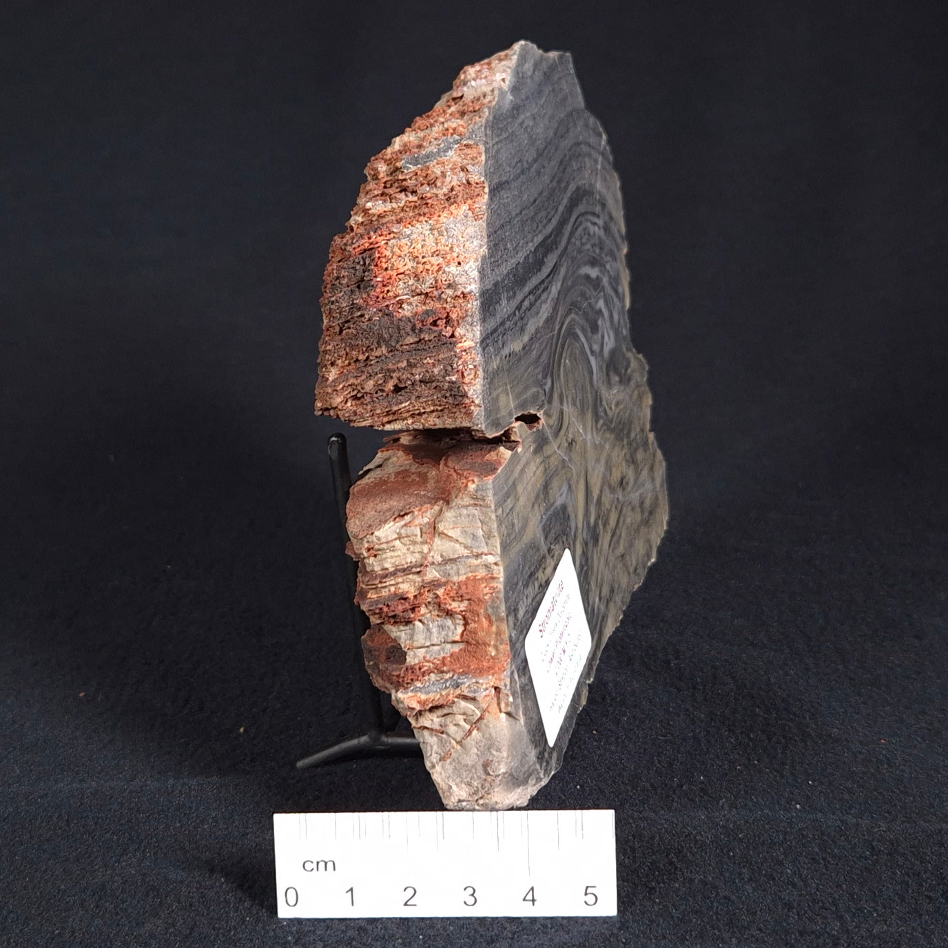STROMATOLITE, Duck Creek, Lower Proterozoic, Australia ZDC004