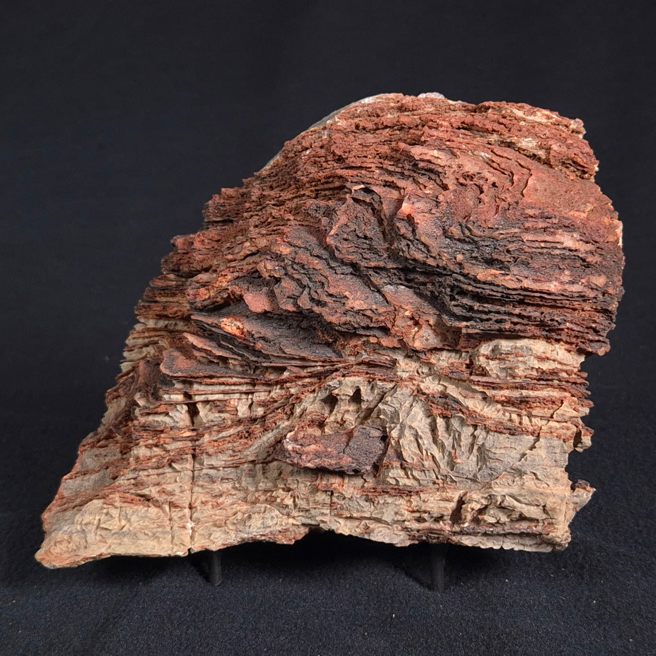 STROMATOLITE, Duck Creek, Lower Proterozoic, Australia ZDC005