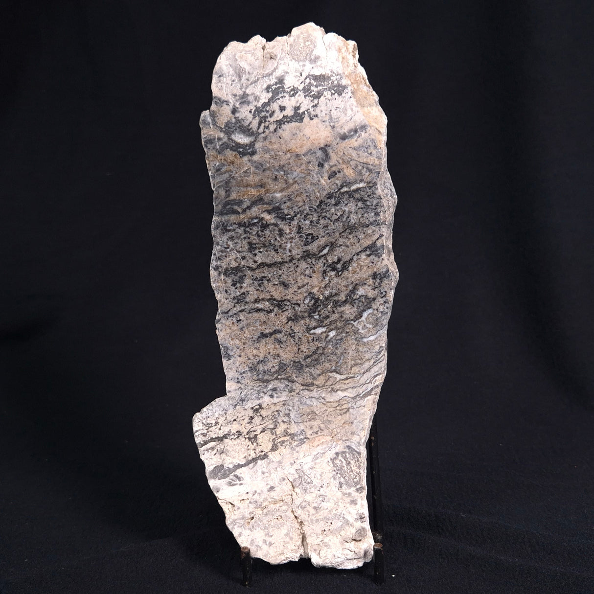 STROMATOLITE BAICALIA sp. Late Precambrian, Australia ZBS001