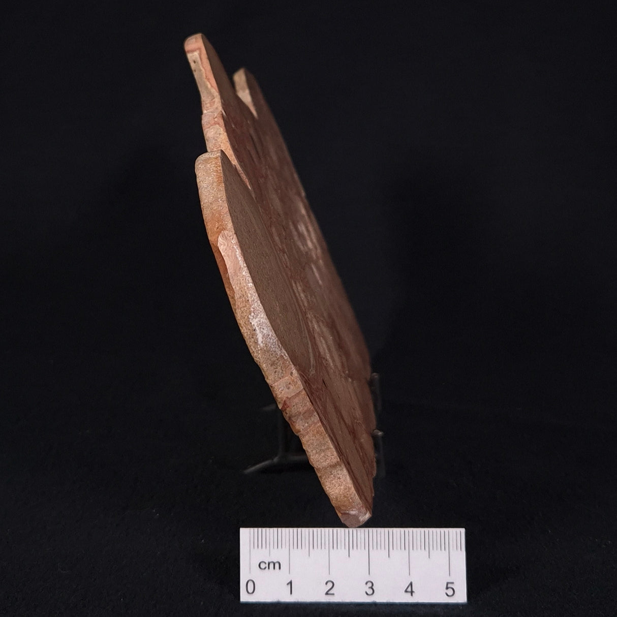 ONCOLYTIC STROMATOLITE, Tertiary, Australia ZOS003