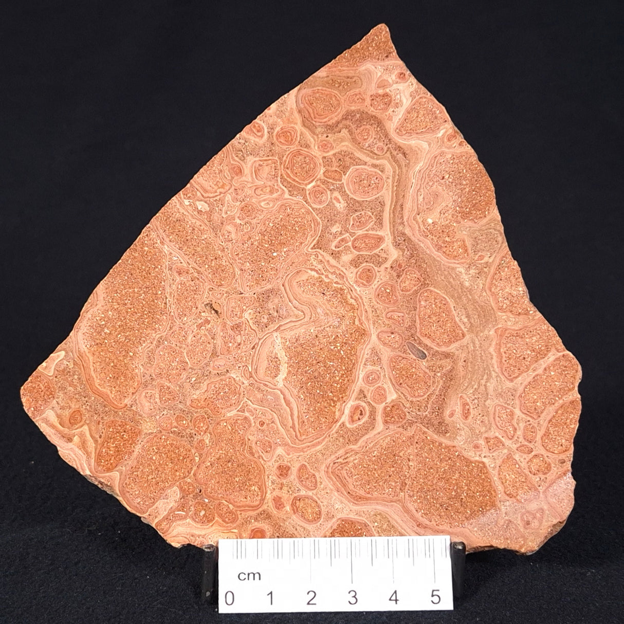 ONCOLYTIC STROMATOLITE, Tertiary, Australia ZOS005