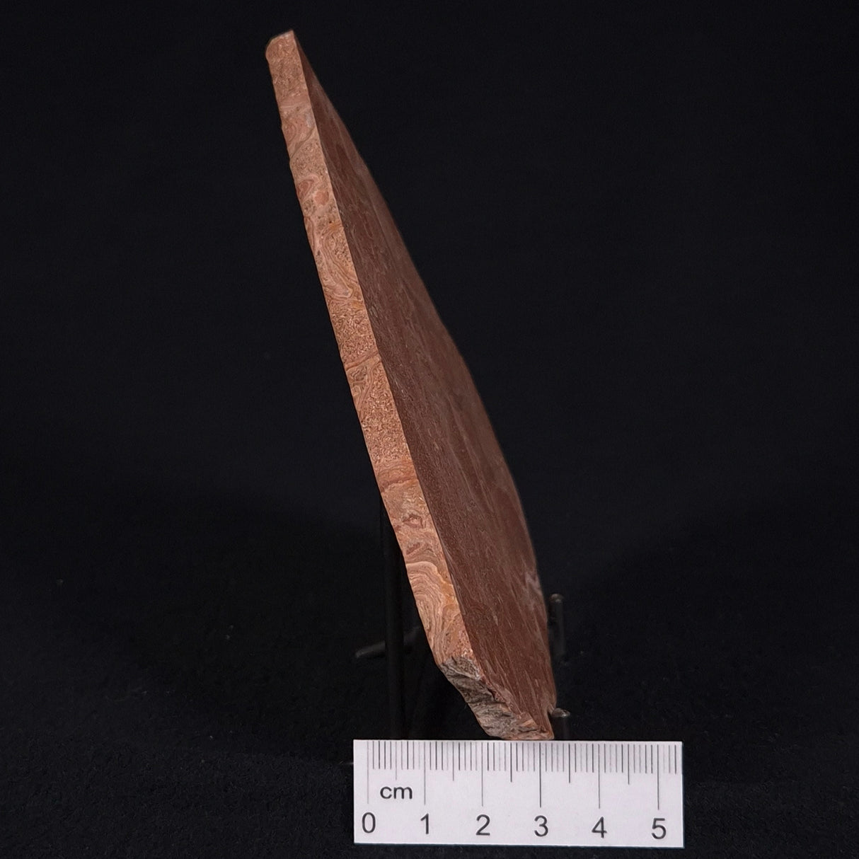 ONCOLYTIC STROMATOLITE, Tertiary, Australia ZOS005