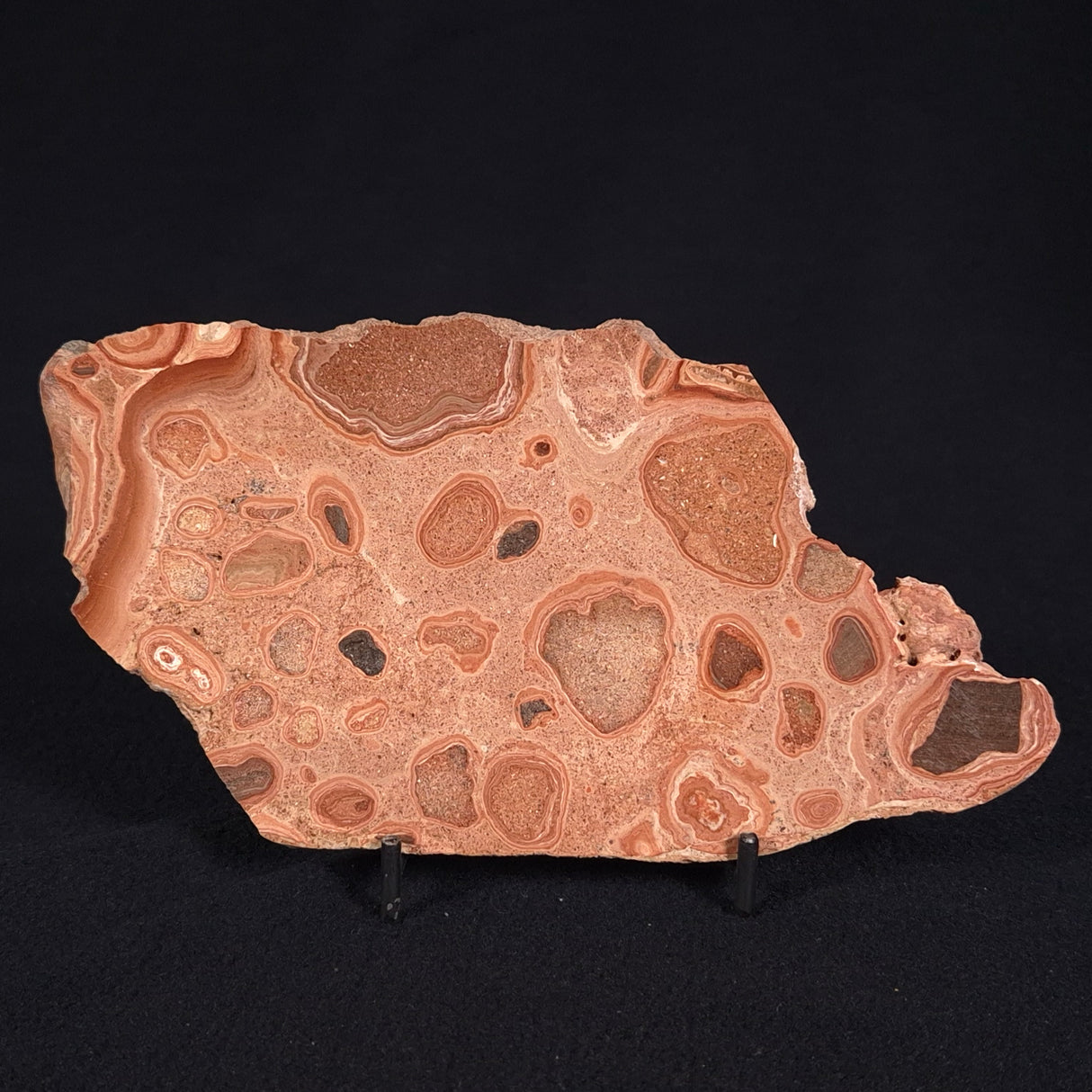 ONCOLYTIC STROMATOLITE, Tertiary, Australia ZOS006