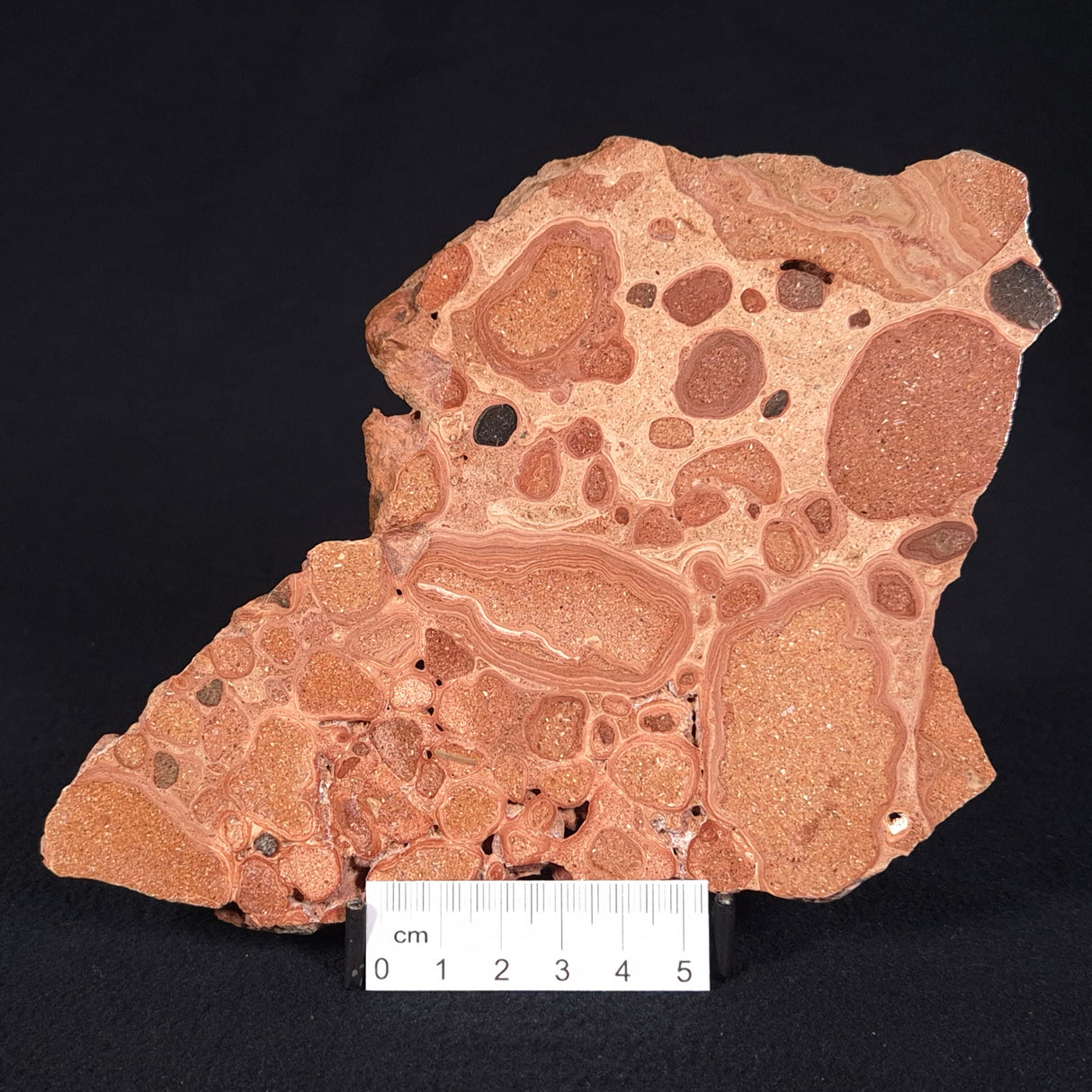 ONCOLYTIC STROMATOLITE, Tertiary, Australia ZOS007