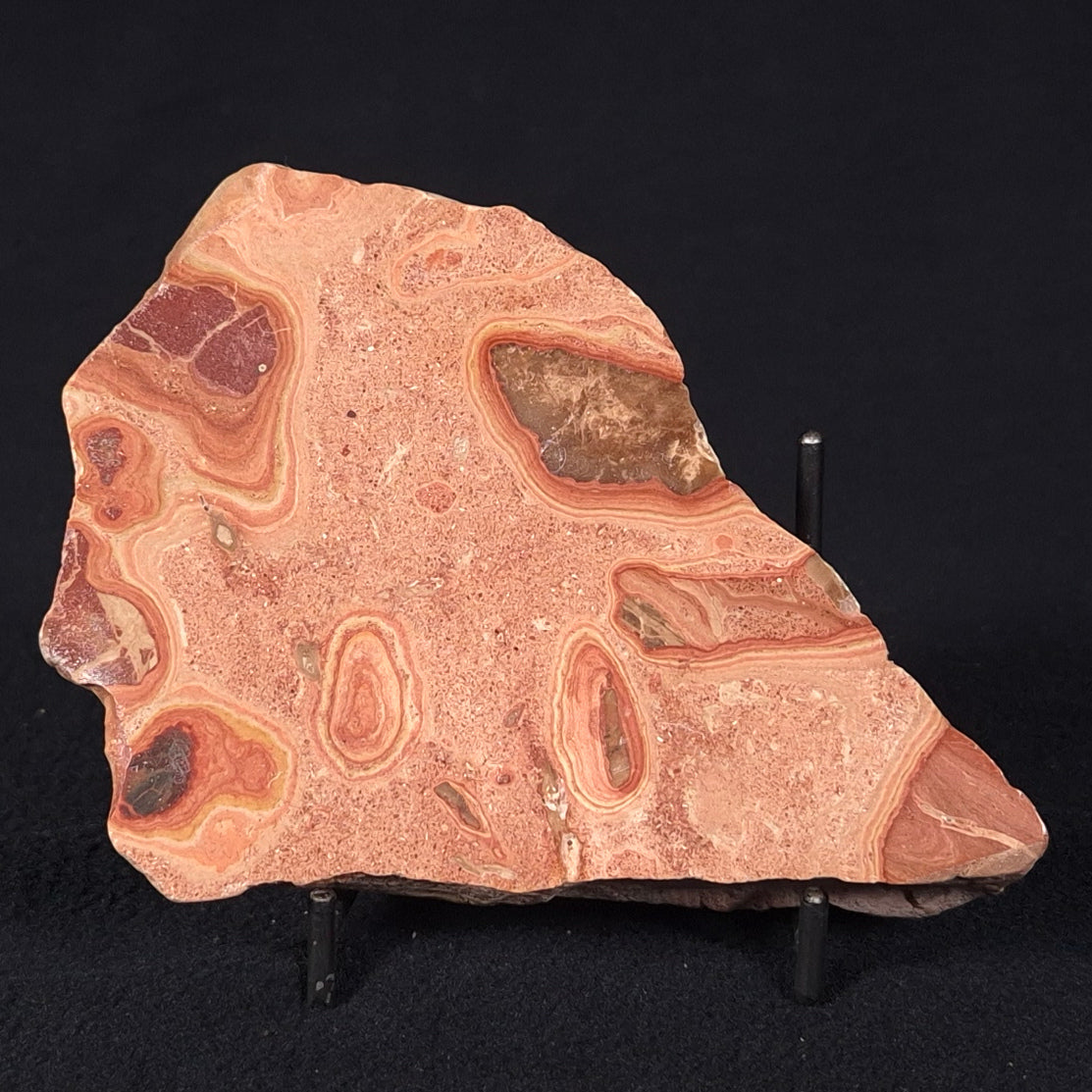 ONCOLYTIC STROMATOLITE, Tertiary, Australia ZOS008