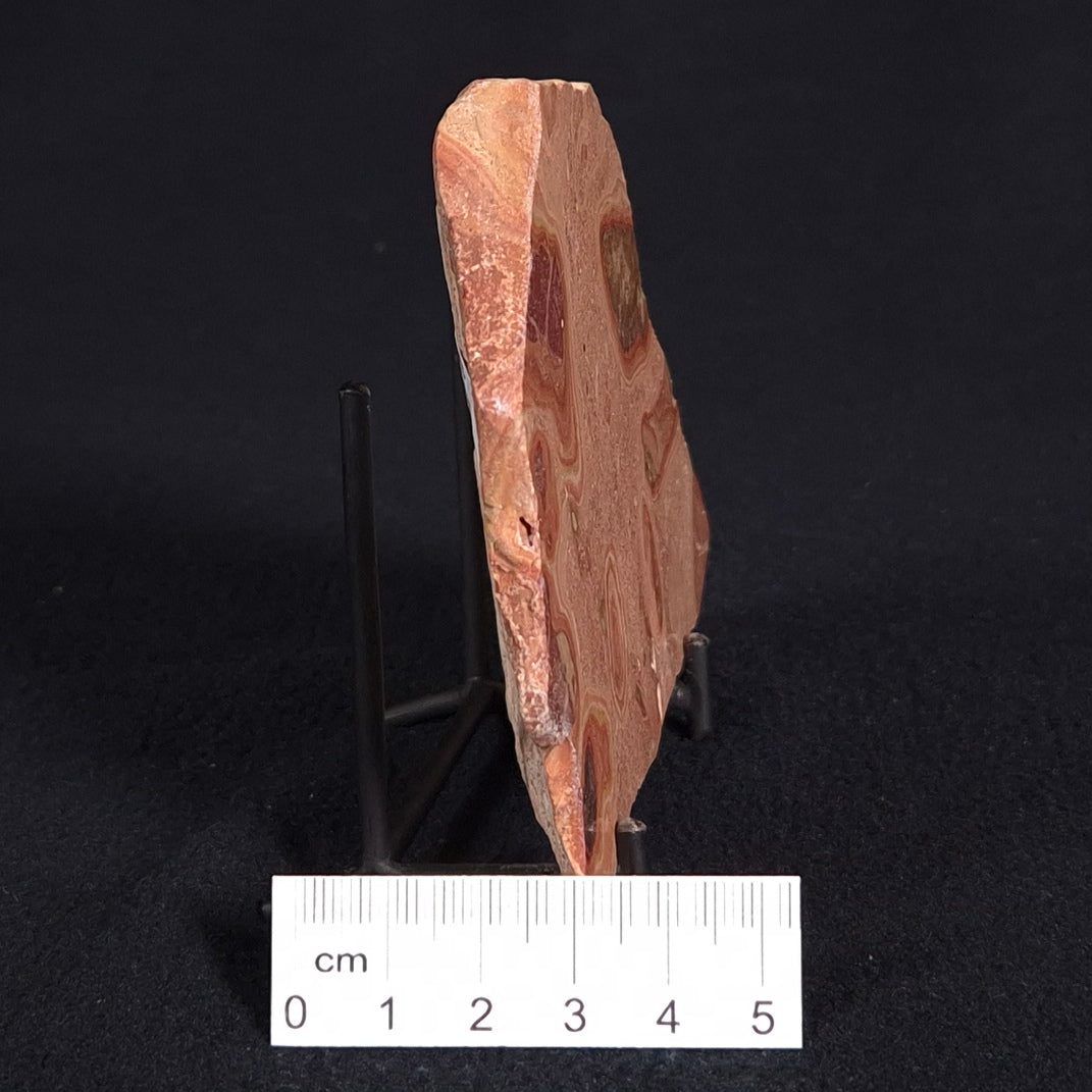 ONCOLYTIC STROMATOLITE, Tertiary, Australia ZOS008