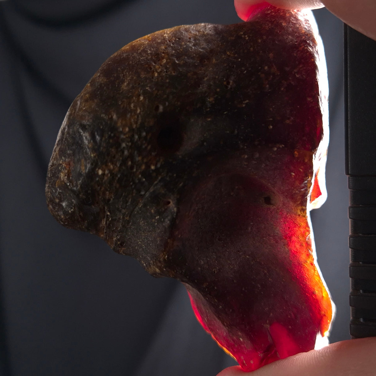 ROUGH AMBER, Australia YCA001