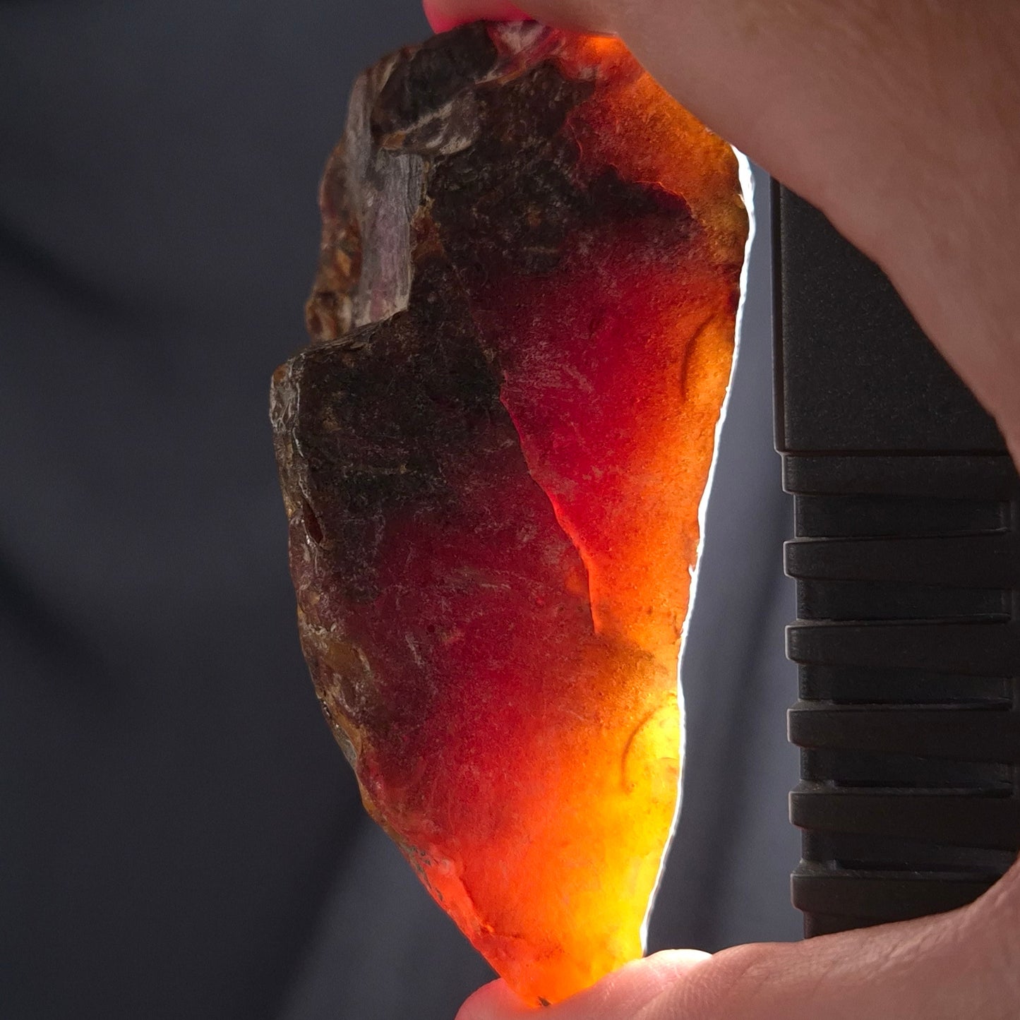 ROUGH AMBER, Australia YCA002