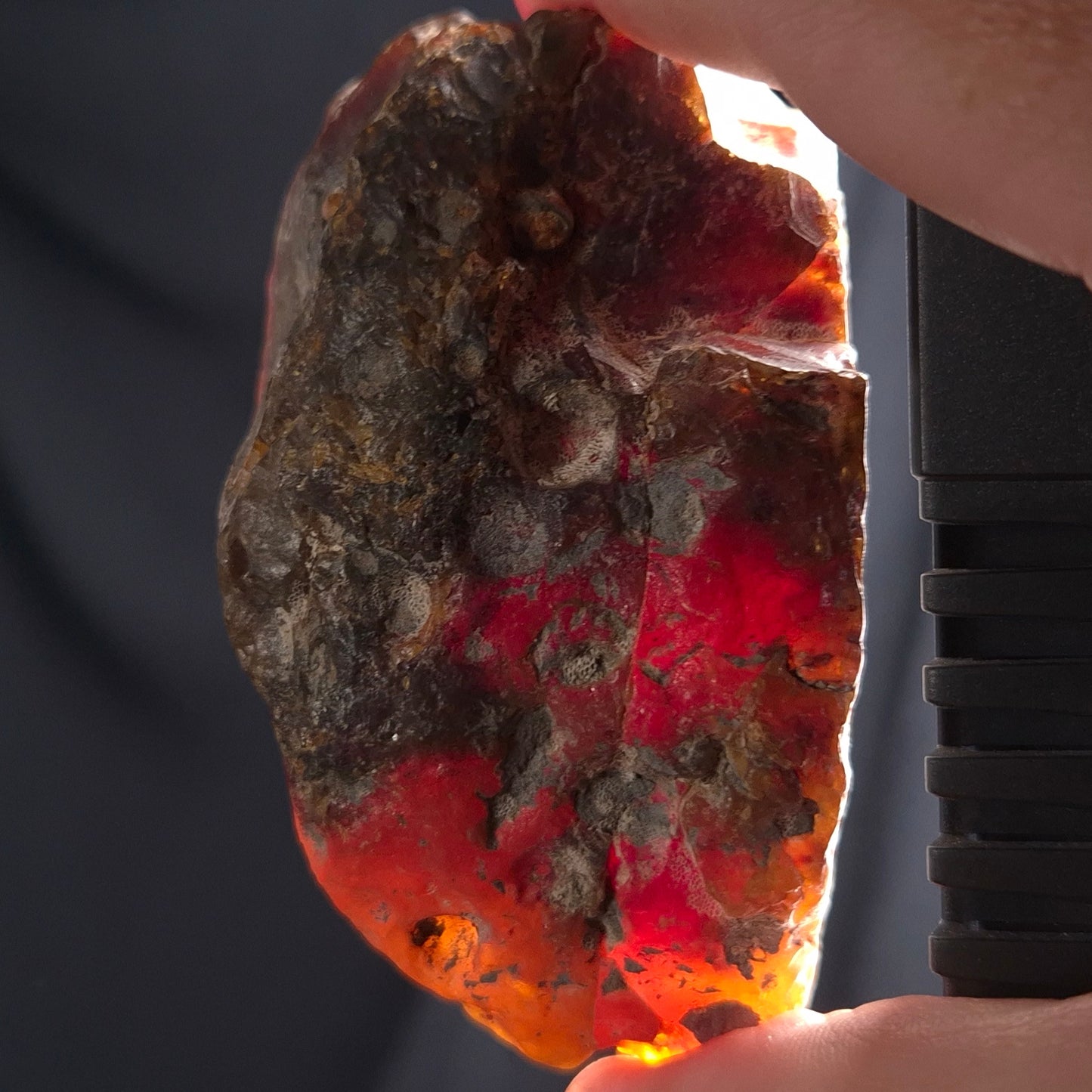 ROUGH AMBER, Australia YCA002