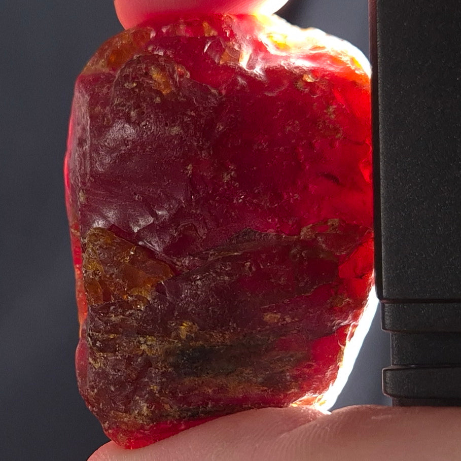 ROUGH AMBER, Australia YCA003