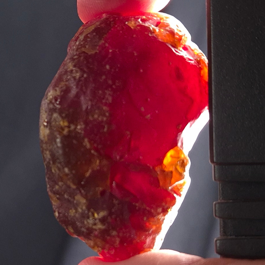 ROUGH AMBER, Australia YCA003