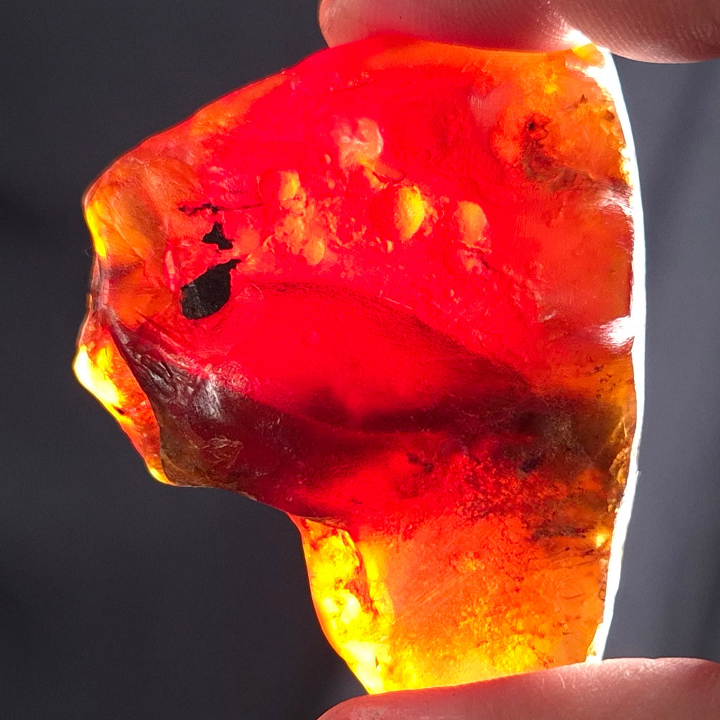 ROUGH AMBER, Australia YCA005