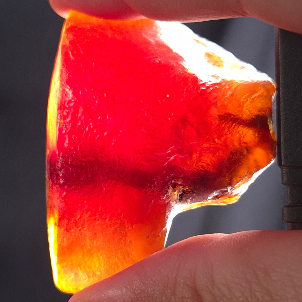 ROUGH AMBER, Australia YCA005