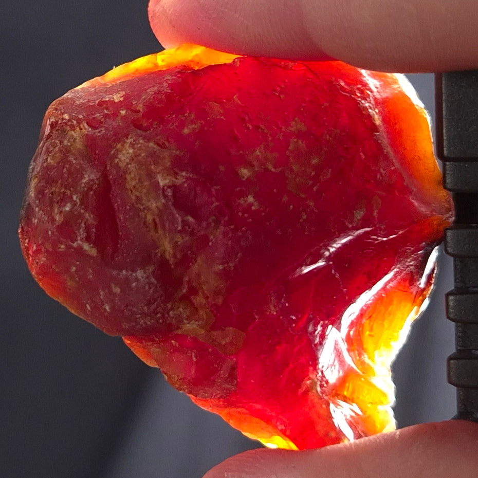 ROUGH AMBER, Australia YCA004