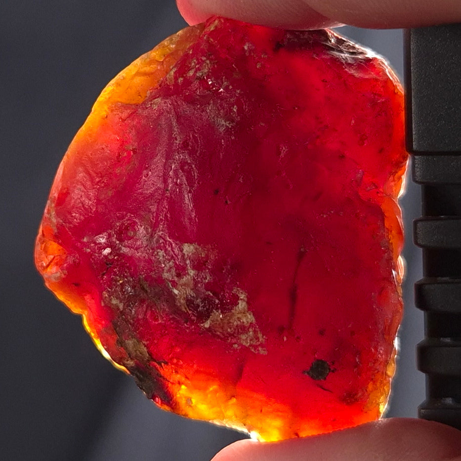 ROUGH AMBER, Australia YCA004