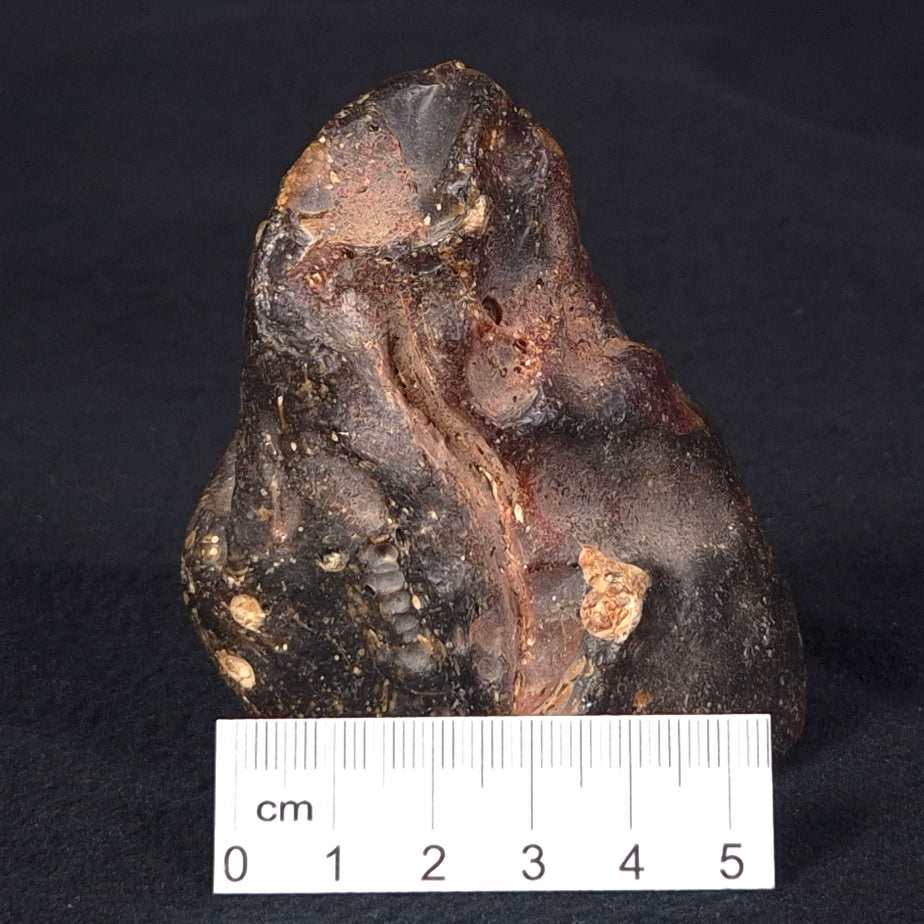 ROUGH AMBER, Australia YCA001