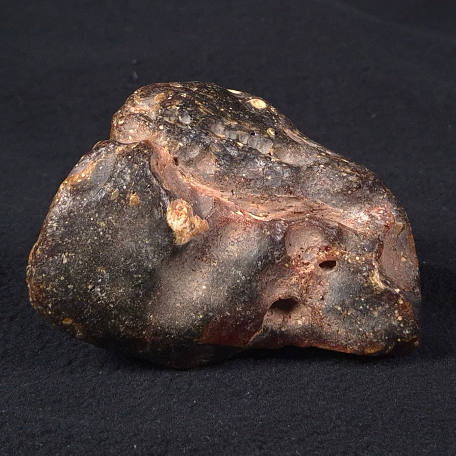 ROUGH AMBER, Australia YCA001