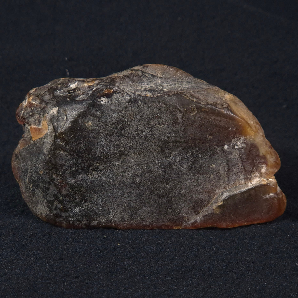 ROUGH AMBER, Australia YCA002