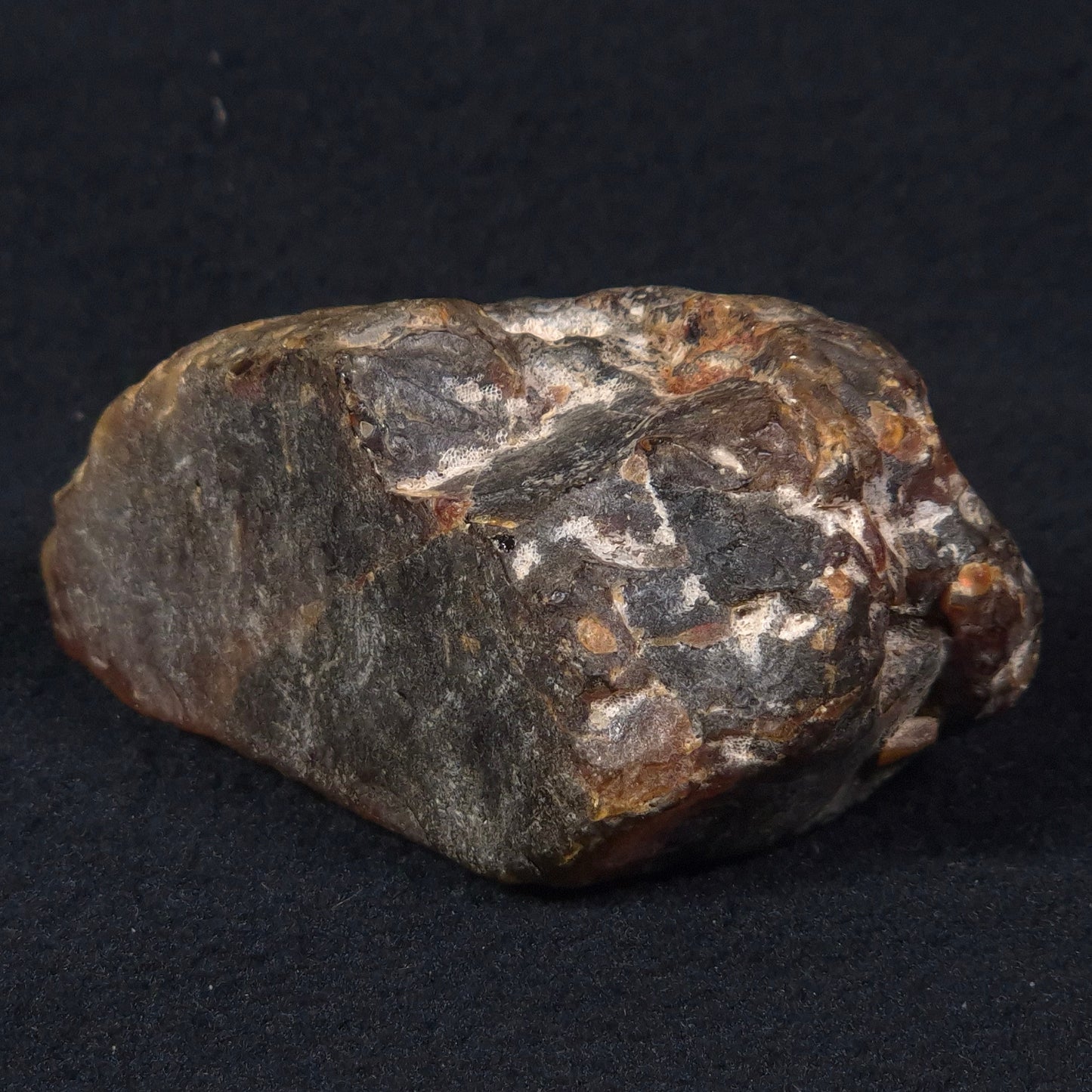 ROUGH AMBER, Australia YCA002