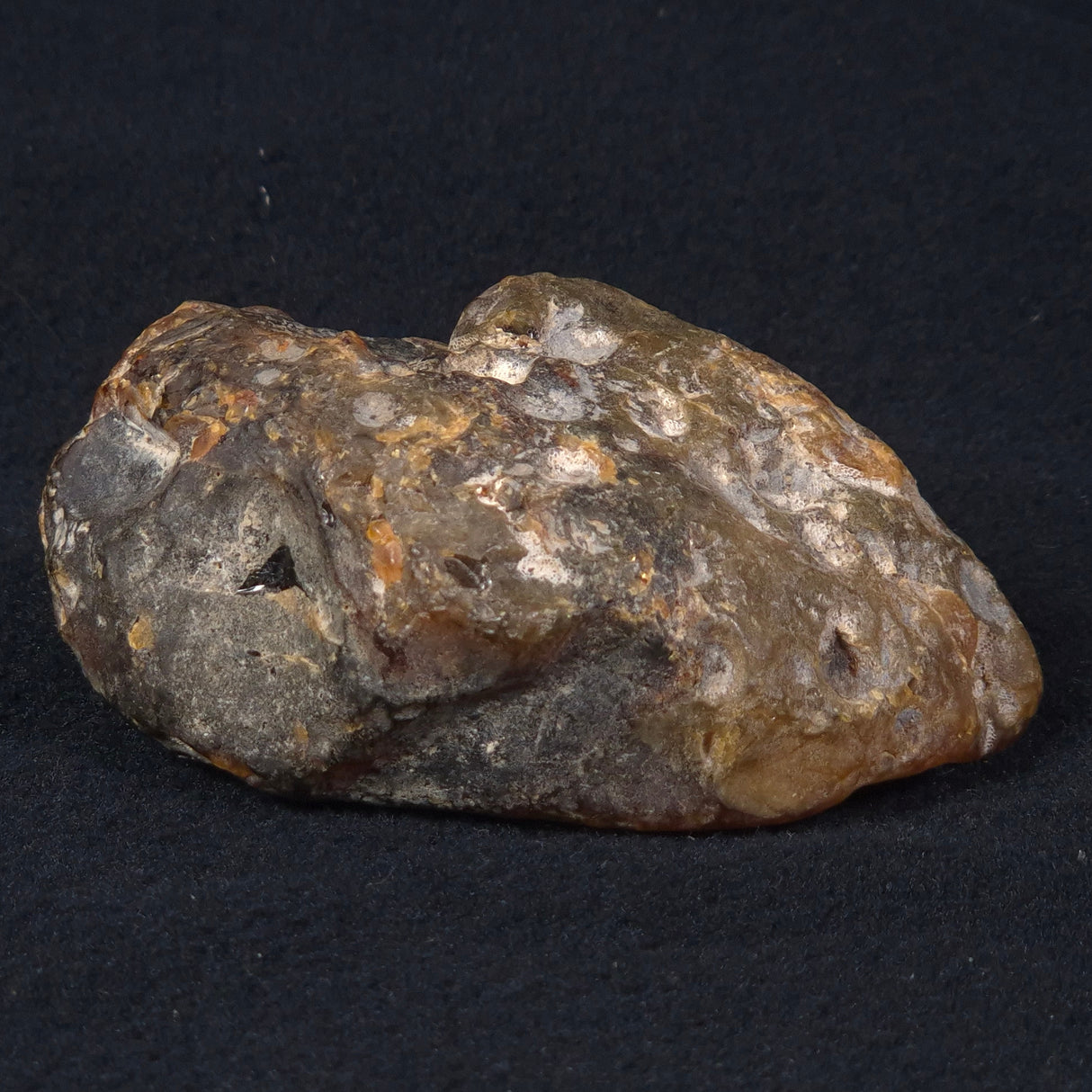 ROUGH AMBER, Australia YCA002