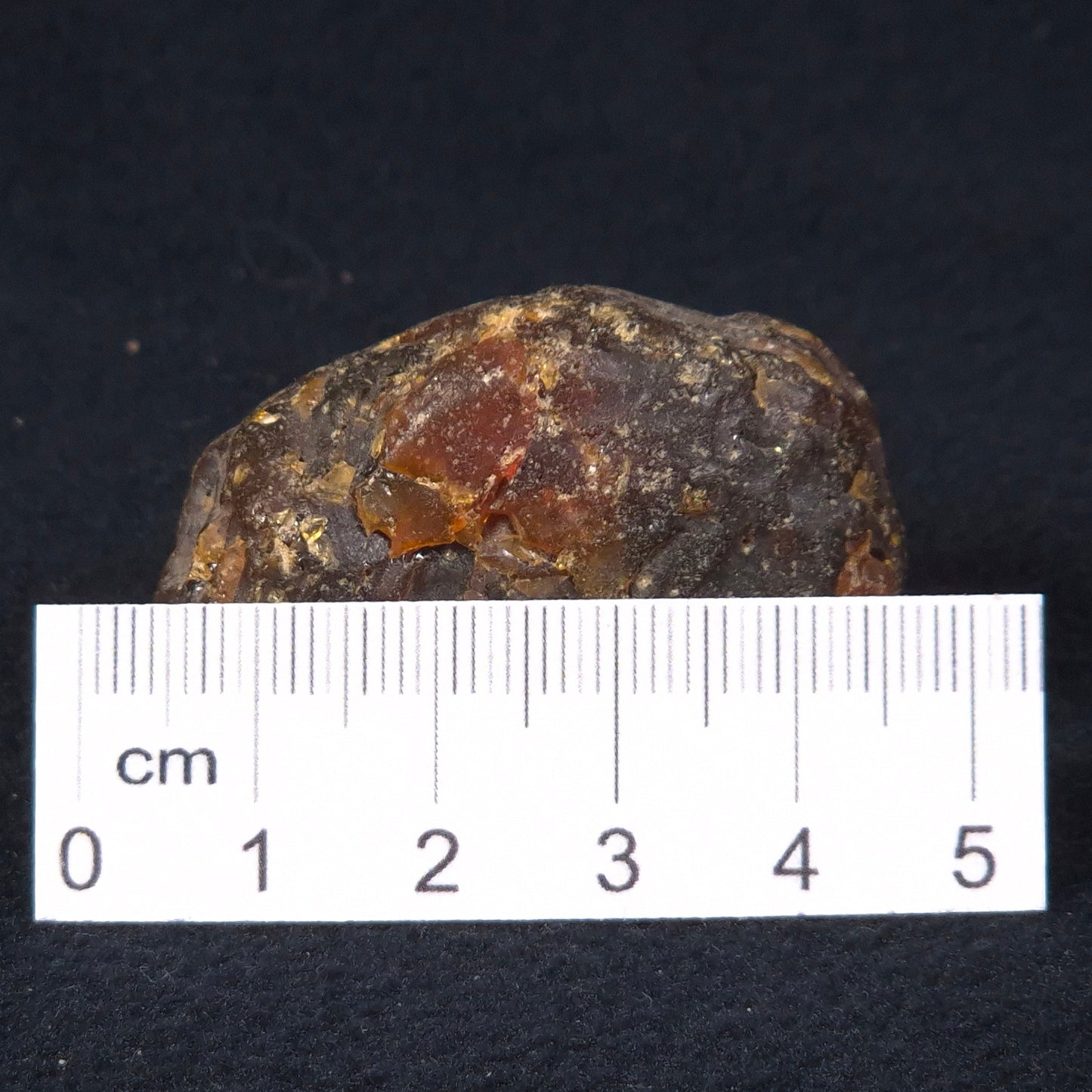 ROUGH AMBER, Australia YCA003